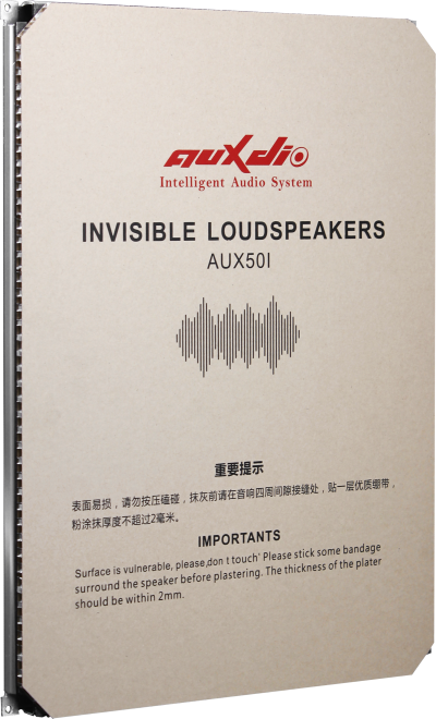 Unsichtbarer Lautsprecher 20W