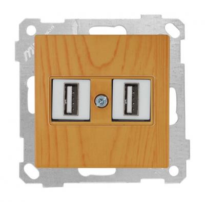 USB Anschluss 2-fach Eiche (CANDELA / DARIA Holz Optik)
