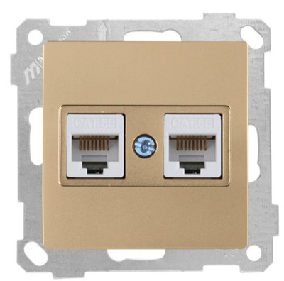 Netzwerk RJ45 CAT5e 2-fach Gold (CANDELA / DARIA Metall Optik)