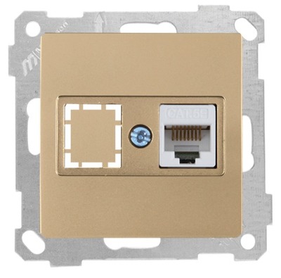 Netzwerk RJ45 CAT5e einfach Gold (CANDELA / DARIA Metall Optik)