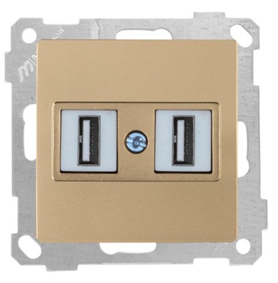 USB Anschluss 2-fach Gold (CANDELA / DARIA Metall Optik)