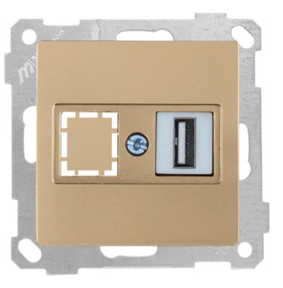 USB Anschluss einfach Gold (CANDELA / DARIA Metall Optik)