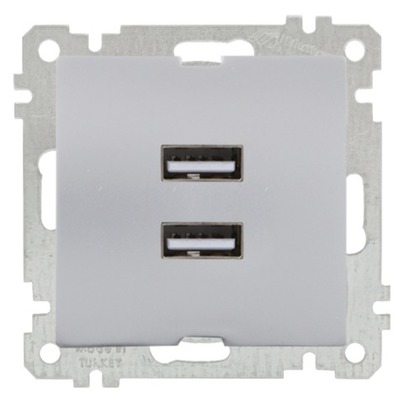 USB Steckdose mit Ladefunktion 2-fach Silber (CANDELA / DARIA Metall Optik)