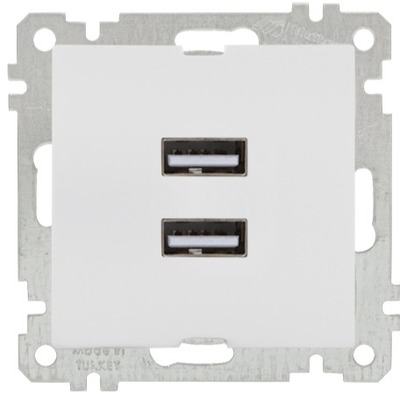 USB Steckdose mit Ladefunktion 2-fach weiß (CANDELA / DARIA Standard)